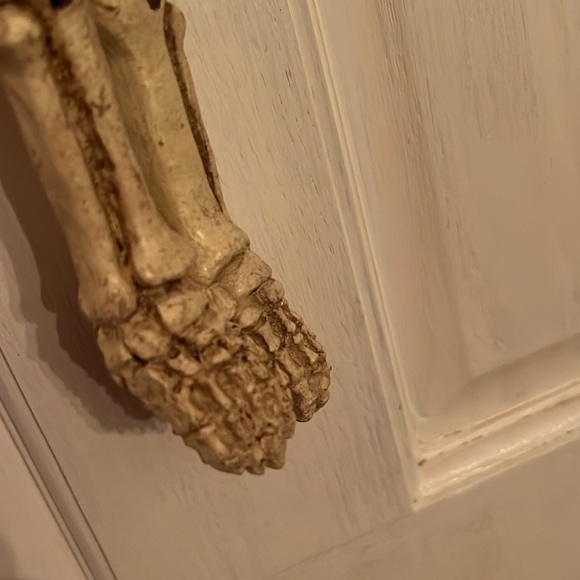 Pirate skeleton - Picture 6 of 6